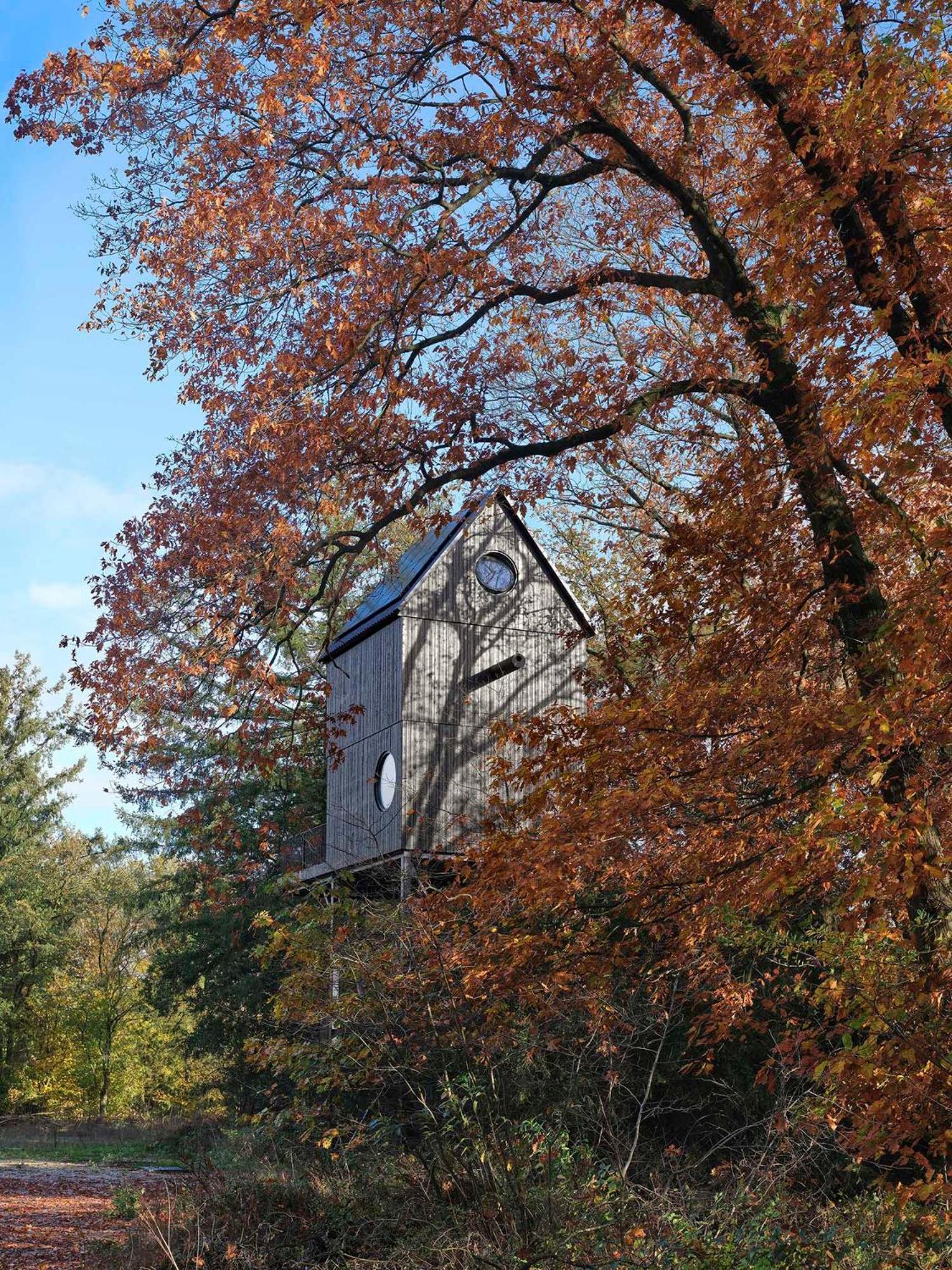 Buitenverblijf Nest Arnhem Buitenkant foto
