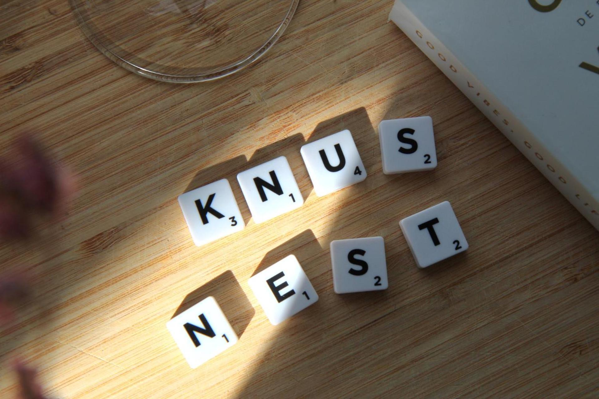 Buitenverblijf Nest Arnhem Buitenkant foto
