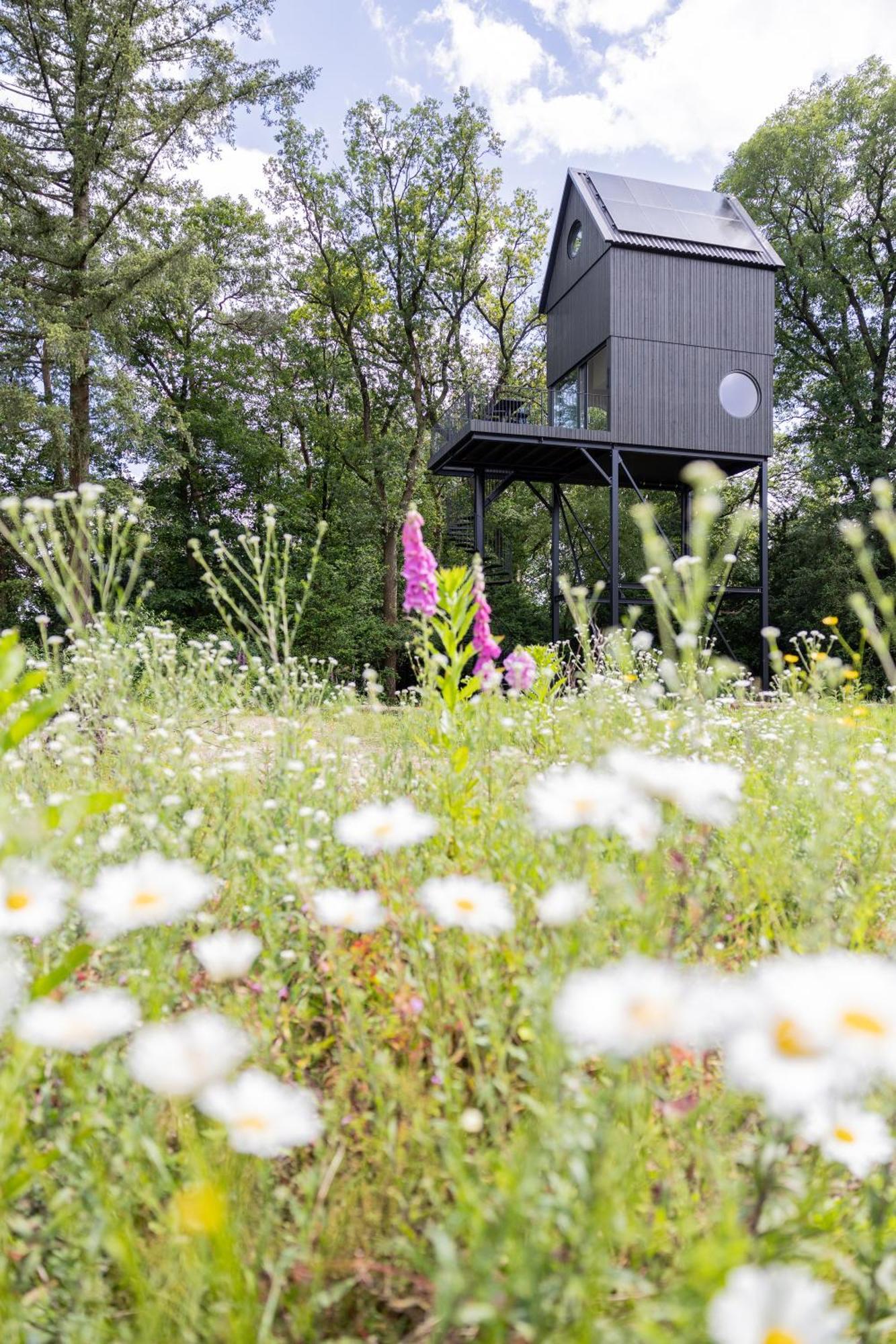 Buitenverblijf Nest Arnhem Buitenkant foto